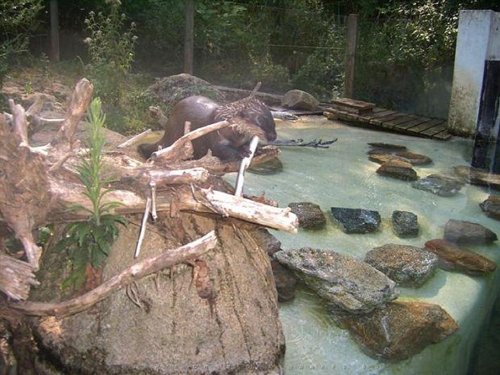 149 BIO PARC DE DOUE LA FONTAINE 5- 2016_000040.jpg